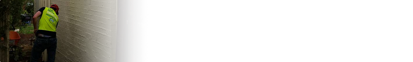 Dedicated Team Members